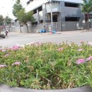 명륜동-8 이미지