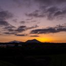 제주에 산다 이미지