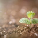 세정산업 이미지