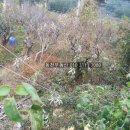 창원명지여자고등학교 이미지