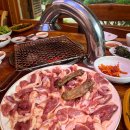 불미골오리 이미지