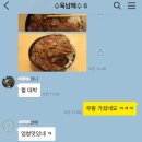 (주)더블비제주 | 면세쇼핑을 위한 여행♩ (셀린느 카바스 팬텀 + 아카짱혼포 + 미키하우스 더블비 + 도쿄밀크치즈팩토리)