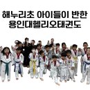 용인대 헬리오 태권도장 이미지