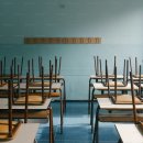 비디테일 이미지