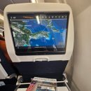 2117 | KE2117] 서울/김포 (GMP) to 오사카/간사이 (KIX) A321Neo 1시간 35분 2026 첫 비행후기 ✈️