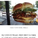 "맥도날드 햄버거 속 이물질" 항의…조사해보니 벌레 맞았다 이미지