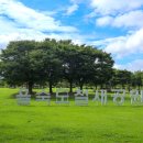 하단동1212 이미지