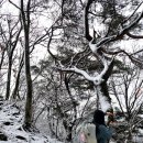 구라산성 이미지