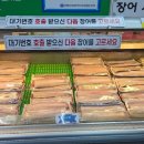 숲이랑장어랑