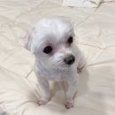 뚜니살롱 이미지