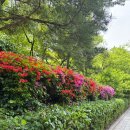 [#1]서울, 쉼표_서울역사박물관