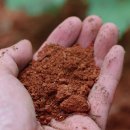 나무메디 이미지