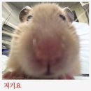 나경농장 | 꾸루꾸루