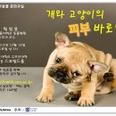 문화동물병원 이미지