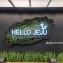 헬로우컷제주 | [8월 제주도 자유여행 2박3일] 1일차 일정 코스 제주시 서귀포시 맛집 카페 야시장 후기
