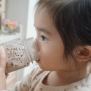 다오미식품 | [하이업밸런스] 마시는 어린이영양제 후기