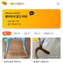 장애인보조기기 중고거래 사이트 '카당' 소개합니다 이미지