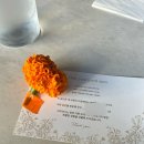 온리고 광주 | [서울|신사] 소개팅하기 좋은 퓨전레스토랑, 압구정 온리고