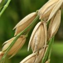 우보농장 이미지