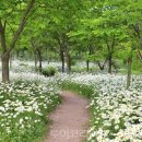 부안변산마실길 이미지