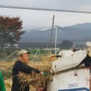 만호 이미지