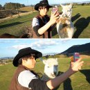 엠버농장 이미지