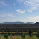 송현1리 마을회관 이미지