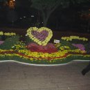 삼성동-04 이미지