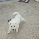 다올수산 이미지