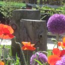 한창목장 이미지