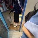 외대조은약국 이미지