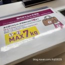 피치플랜 | 악명높은 오사카 피치항공 이용후기ㅣ연착,지연ㅣ캐리어,수하물 무게ㅣ체크인ㅣ내돈내산 후기