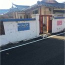 동네강아지 이미지