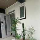 폴인럽제주 이미지