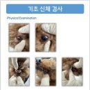 아는수의사 동물병원 이미지