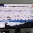 TKR-360CK 가정용 노래 반주기 사용 후기