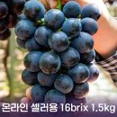 산지