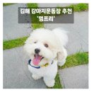 프리멍 | 김해 강아지 운동장 추천 천연잔디에서 뛰어노는 멍프리 솔직후기