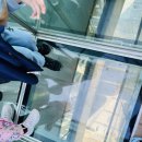 천년태권도 이미지