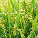 강동행정사 이미지