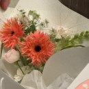 송도더샵센시티공인중개사사무소 | 만 26살의 송도 아파트 매매 후기