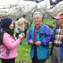 화산농원 이미지