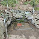 약진로변 이미지