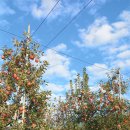 보훈농장 이미지