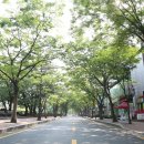 공원로-4 연합뉴스