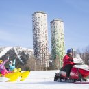 사계절이 Wa 사계절이 와 이미지