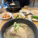 대구 삼계탕 맛집 [백제삼계탕] 솔직 후기 🍲🐔