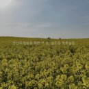 김선호농장 이미지