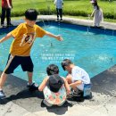 주식회사 힐링팜 이미지