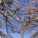 백세힐링건강댄스 | 속초 설악산맛집 백세가든 능이백숙 보양식 추천 후기